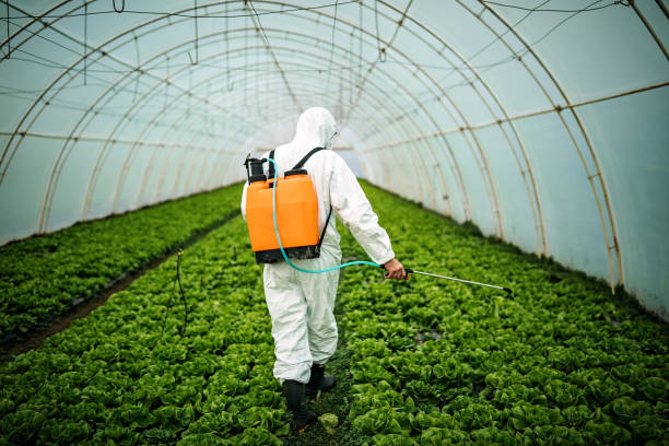 Best Best Pest Control Near Me  in Folsom, CA