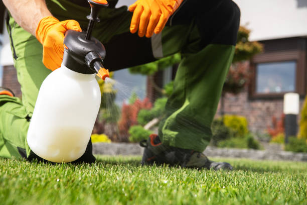 Best Exterminator Services  in Folsom, CA