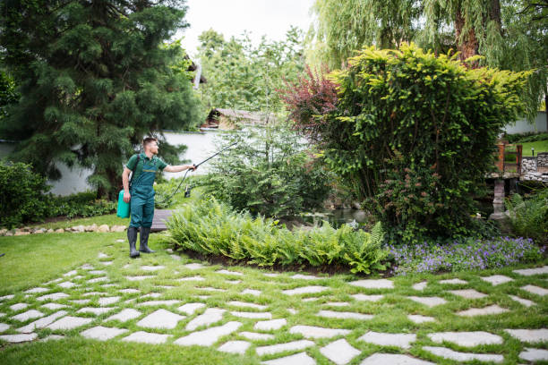 Best Pest Control Near Me  in Folsom, CA