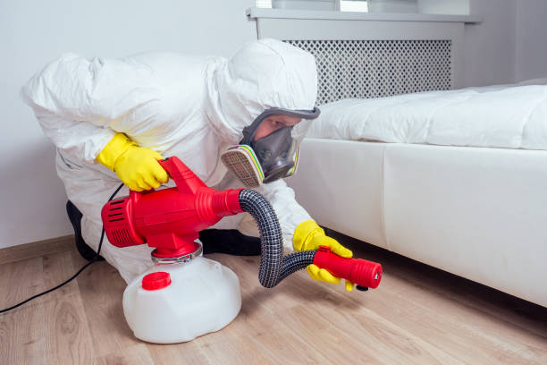 Best Flea Control Services  in Folsom, CA