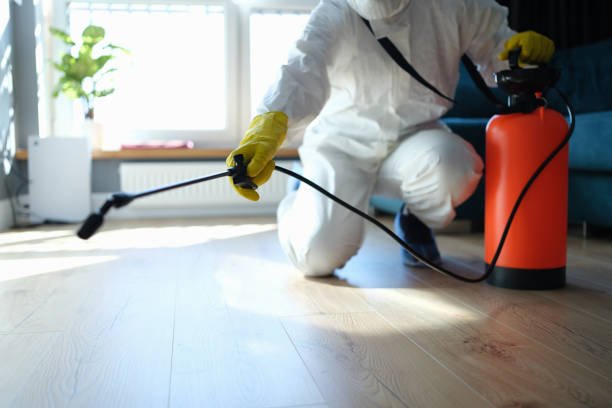 Trusted Folsom, CA Pest Control Experts