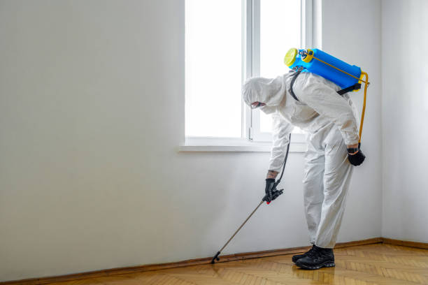 Best Mosquito Control Services  in Folsom, CA