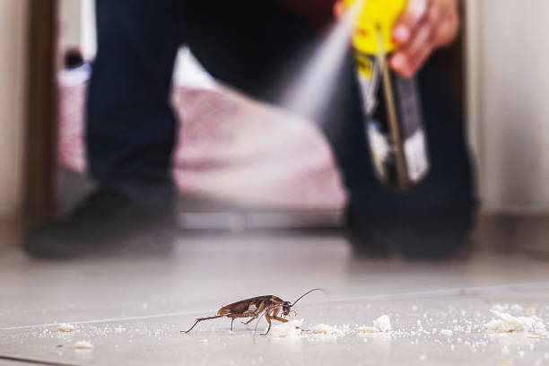 Best Pest Prevention Services  in Folsom, CA