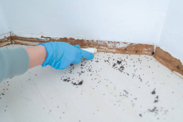 Best Pest Inspection Near Me  in Folsom, CA