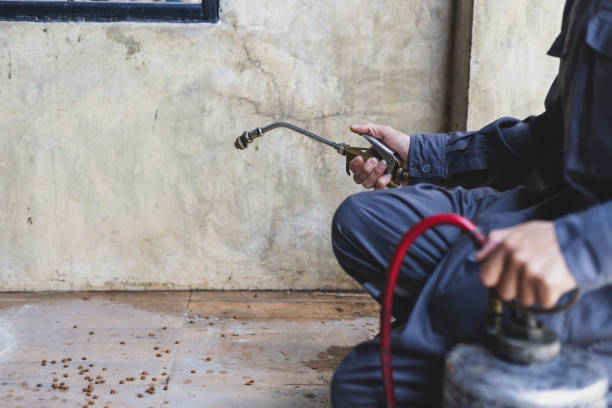Best Affordable Pest Control Services  in Folsom, CA